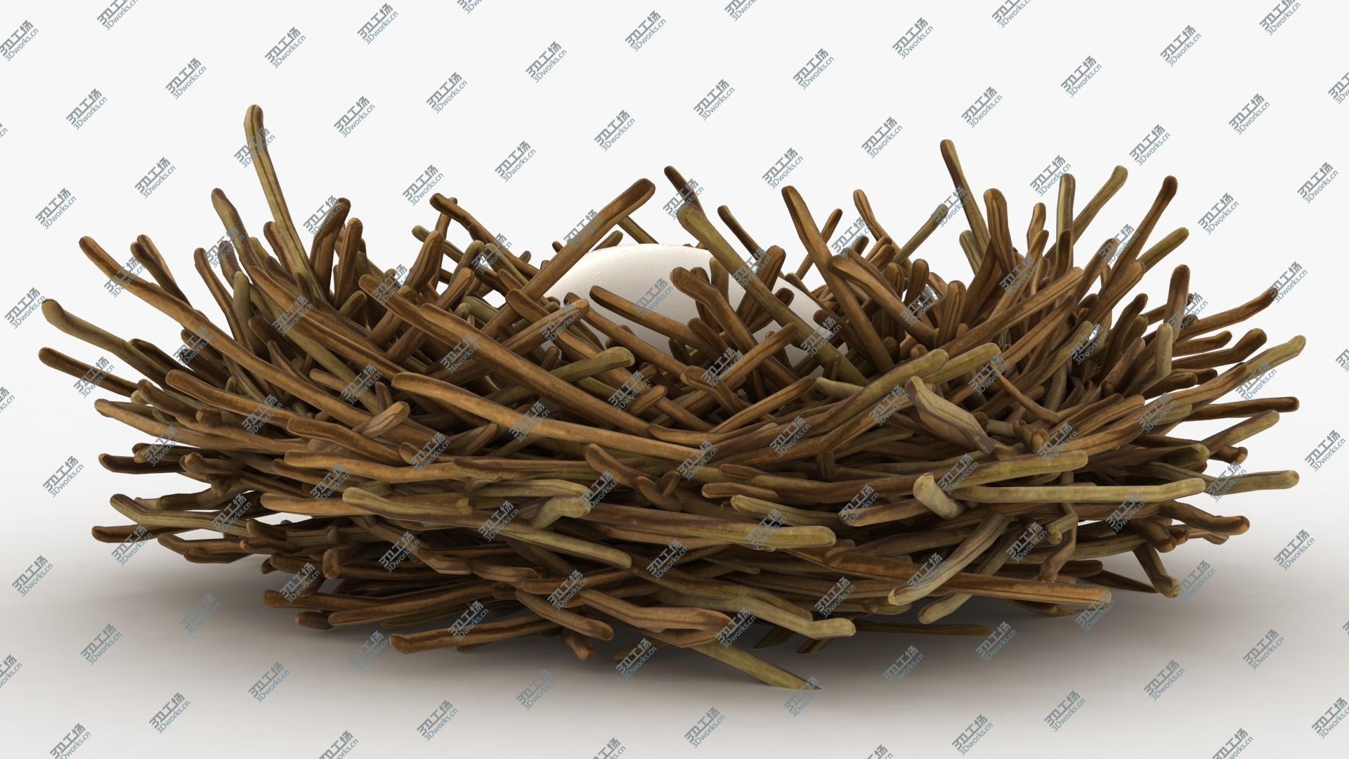 images/goods_img/202104093/Bird Nest Collection 3D model/4.jpg